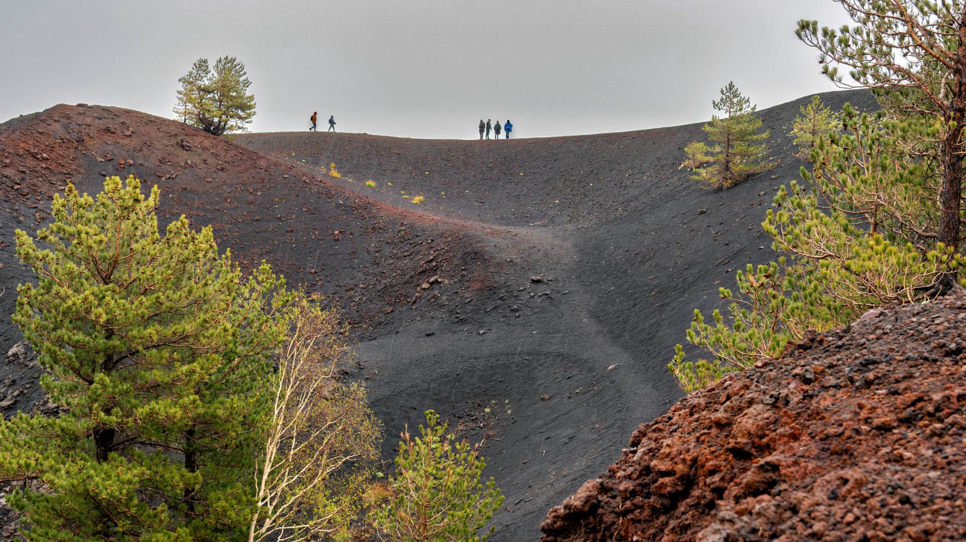 Die dunklen krümeligen Bodenpartikel sind in erster Linie Vulkanasche, die bei Ausbrüchen in die Luft geschleudert und dann wieder zu Boden sinkt. Diese Asche besteht aus fein zermahlenem Gestein und Mineralien, die oft eine schwarze oder dunkelgraue Farbe haben. Aber auch erkaltete Lavaströme tragen zur dunklen Färbung bei. Wenn die Lava abkühlt und erstarrt, entsteht ein dunkles, oft poröses Gestein.
